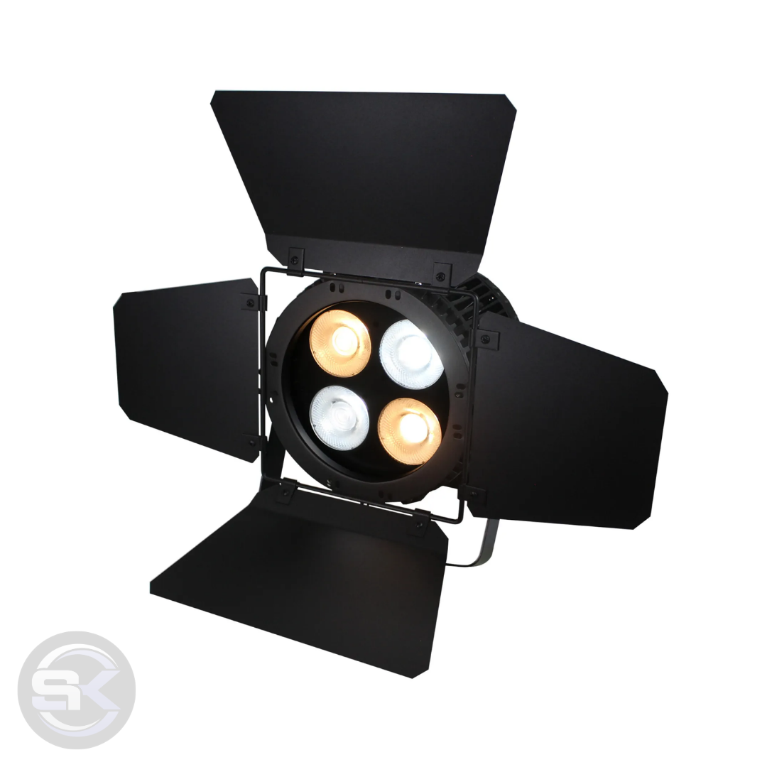 Refletor COB 300W Outdoor IP 65