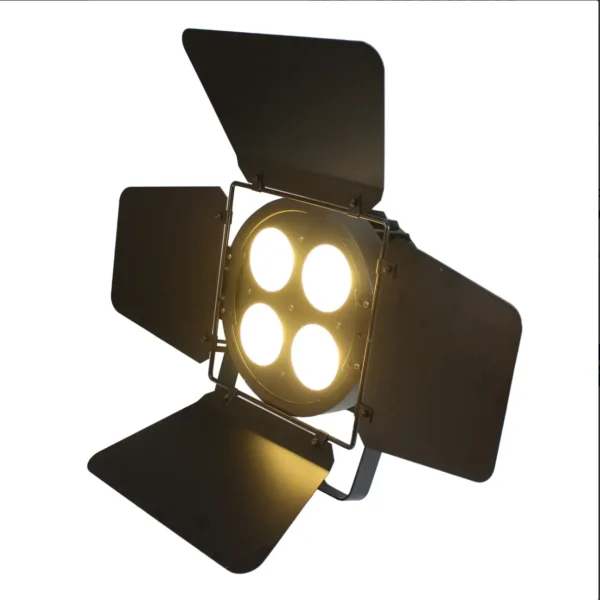 COB LED 300W BQ-BF INDOOR ST-COB001